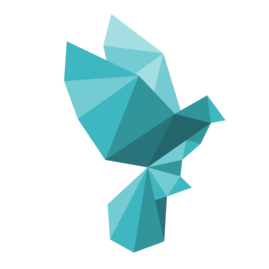 Merissa Company
